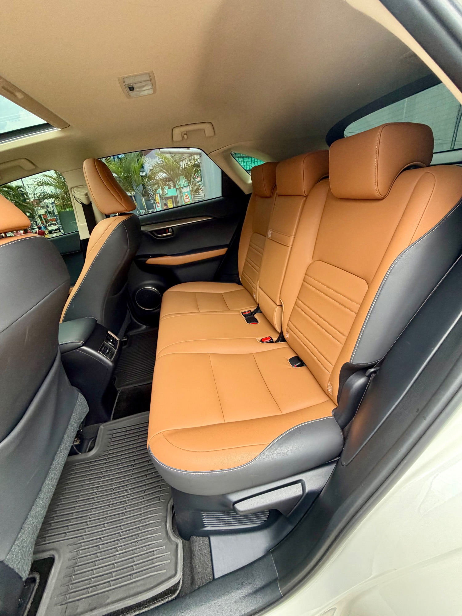 LEXUS NX300H 2019