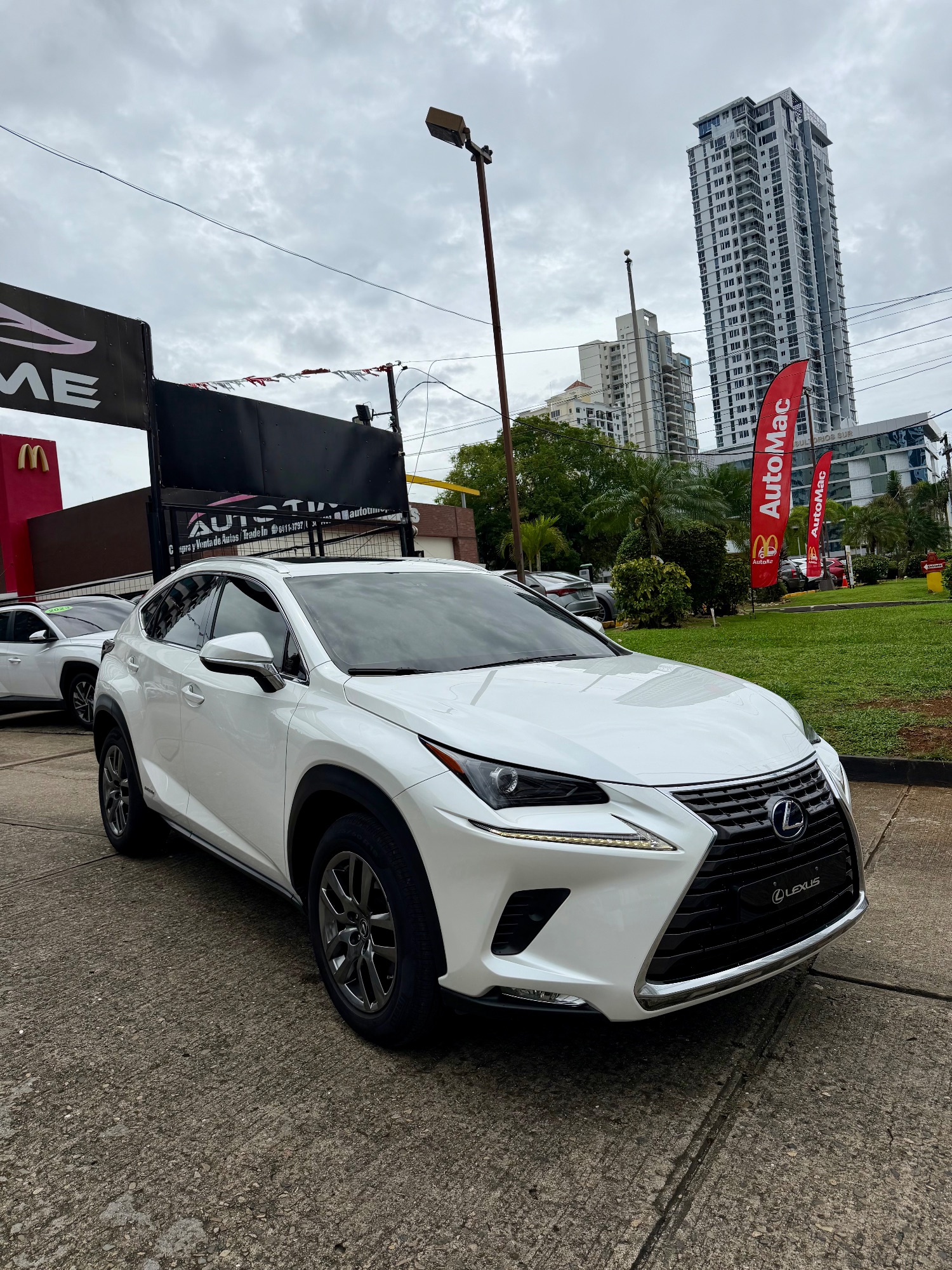 LEXUS NX300H 2019